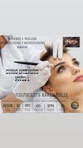 ⚜️CURSO DE MICROBLADING, MICROSHADING,CEJA HÍBRIDA Y POWDER BROWS⚜️ , SI TE  GUSTARÍA INICIAR EN EL MUNDO DE LA MICROPIGMENTACIÓN ESTA ES TU OPORTUNIDAD  ... , EMPEZAMOS DESDE CERO , OPCIÓN 1, ♦️♦️♦️♦️ ...