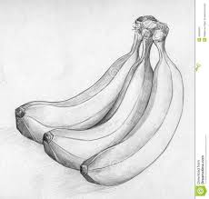 Eskizy Banan Poisk V Google Banana Sketch Fruit Sketch Still Life Drawing