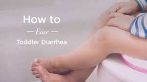Telugu, diarrhoea in pregnancy, diarrhoea in babies, diarrhoea in newborn, diarrhoea in cow diarrhoea or diarrhea, diarrhoea on keto, diarrhoea pronunciation, diarrhoea pharmacology. What To Feed Toddler With Diarrhea The Plan
