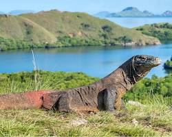 Taman Nasional Komodo, Indonesia