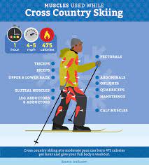 Give yourself plenty of time before you hit the slopes to build your this is what an effective cardio workout for upcoming skiers looks like when skiing downhill, you typically hold your body in a flexed position—meaning you lean forward from the hips. Fitness Benefits Of Cross Country Skiing And Snowshoeing Fix Com