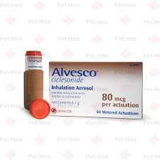 Image result for Inhaled Ciclesonide