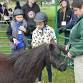 Somerset County 4-H event image