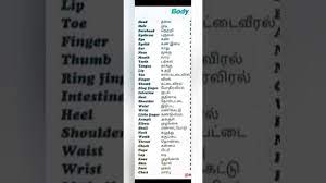 Best website for tamil typing, tamil translation and english to tamil dictionary. Body Parts English And Tamil Meanings Youtube