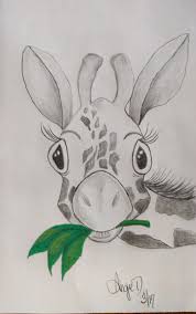 Are you searching for giraffe pencil png images or vector? Giraffe Drawing Graphite And Prismacolor Pencils Giraffe Drawing Drawings Drawing Artwork