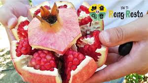 Nar Acmak Ve Yemek Icin Muhtesem Hizli Ve Kolay Soyma Teknigi Tatli Yemek Meyve