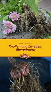 Pin Auf Der Garten Im Herbst