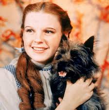 40 Famous Movie Dogs We Wish Were Our Pets