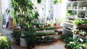 Check out the latest events happening at garden center places. Boston S Best Garden Centers Cbs Boston
