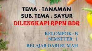 Tanaman labu tergolong mudah ditanam dan wilayah tanamnya menyebar di. Materi Kegiatan Tema Tanaman Catatannining