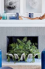 Large clam shell bowl decorating ideas. Giant Clam Shell Decorating Ideas Coastal Decor Ideas Interior Design Diy Shopping