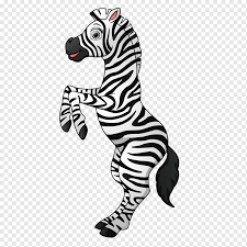 The mountain variety lives in rocky mountainous areas. Z For Zebra Illustration Cute Zebra Mammal Animals Cat Like Mammal Png Pngwing
