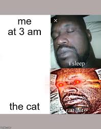 Sleeping Shaq Meme Imgflip