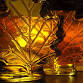 Maple Sugar Magic