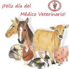 Cuidado de la salud de perros y gatos. Feliz Dia Asociacion De Medicos Veterinarios Del Peru Facebook
