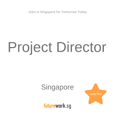 Project Director Singapore Salary Benchmark Sgd 150 000 200 000 Together With Local Countries Manage Regional Big Learn Business Problem Solving Skills Job