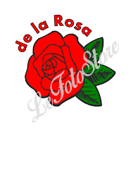 Pin On Svg