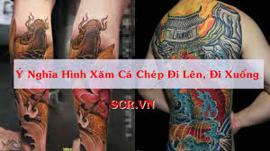 Maybe you would like to learn more about one of these? Y NghÄ©a Hinh XÄƒm Ca Chep Ä'i Len Ä'i Xuá»'ng Tiáº¿t Lá»™ Bi áº©n