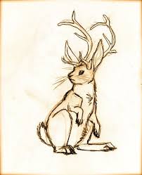 Jackalope Bunny Art Creature Art Animal Art Melted crayon art and bad mspaint drawings are subject to a 3 day ban. pinterest