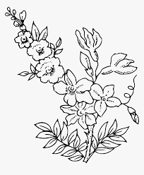 Get editable svg and png vectors with transparent background | edit colors online | personal & commercial use | also download in eps or psd Flower Outline Transparent Background Hd Png Download Kindpng