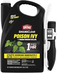 Ortho 1.33-Gallon Home Defense For Indoor And Perimeter2 Insect Killer  Refill In The Pesticides Department At Lowes.Com