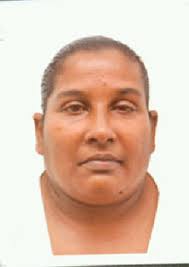 Stabbed Sophia woman succumbs