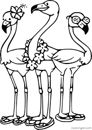 Use these in a center, as extra practice, summer learning, home preschool, or any other use. Three Cartoon Flamingos Coloring Page Coloringall