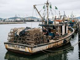 Governo suspende autorização de pesca de embarcação de lagosta por 30 dias