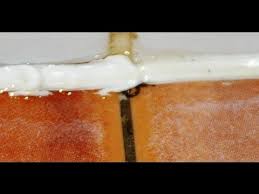 Little Black Drain Worms In Shower How To Get Rid Of Them Youtube