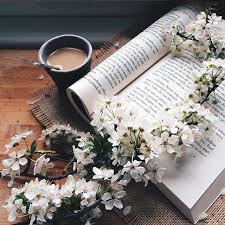 Ali, znate li vi koliko je dva kilometra! U Yu T N O S T Happypublic Instagram Photos And Videos Book Flowers Coffee And Books Bookstagram Inspiration
