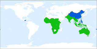 Image result for Chamaecrista wittei