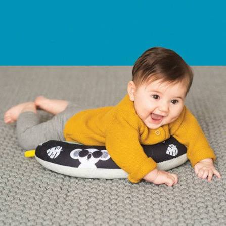 Taf Toys 2 in 2 Tummy Time Pillow – babygoodswarehouse