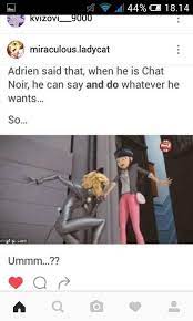 Pin On Ladybug And Chat Noir