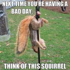 How I handle bad days | Fit Swiss Chick via Relatably.com