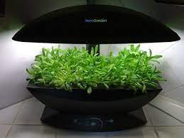 We did not find results for: Hack Your Aerogarden Aerogarden Small Space Gardening Hydro Gardening