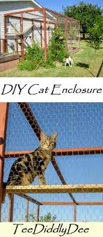 A wide variety of outdoor cat enclosure options are available to you, such as feature, application, and cage, carrier & house type. How To Build An Outdoor Cat Enclosure Or Catio