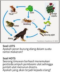 Fit anan july 6, 2020 at 10:53 am. Pembahasan Lengkap Seputar Soal Hots Zenius Blog