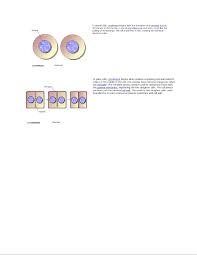 Mastering Biology Assignment 4 Mitosis And Meiosis Studocu