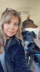 Today's cover photo goes to 2 dear friends and exceptional breeders. The 2  Dobermans are bred by Ellen Gilmour and the American bulldog is bred by  Sonia Perusse . Jason Luczyszyn is