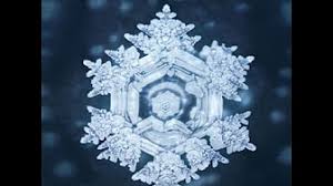 In this new york times bestseller, internationally it was no leap to consider water alive, thus i did not imagine giving the hidden messages in water, 1999, three stars. The Hidden Messages In Water Youtube