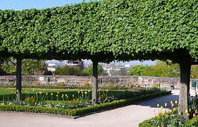 © botanischer garten erlangen seit dem jahr 1828 befindet er sich an seiner heutigen stelle, die früher ein teil des schlossgartens war. Bayerische Schlosserverwaltung Garten Burggarten Nurnberg