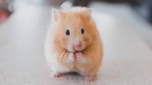 Find more spanish words at wordhippo.com! How To Say Please And Thank You In 10 Languages