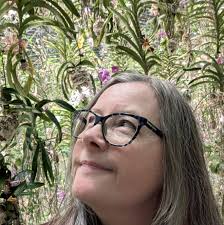 Every now and again a listening exercise comes up without any sound. Is  this a known problem? This one for example (as you can see from my answer I  was just guessing).