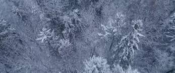 Christmas Break In 2018 Yify Download Movie Torrent Yts A blizzard complicates the matter 2018 yify download movie torrent yts