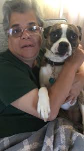 St. Paul the Apostle School