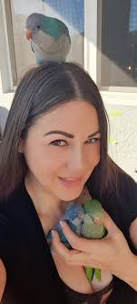 Morning view My Green canary