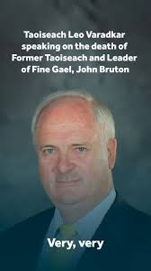 @FineGael's video Tweet