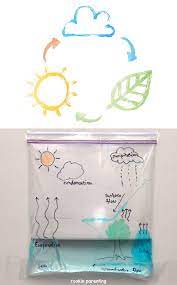 Jeff, izzy and zoe help you learn about the water cycle steps through a fun video for kids in 3rd, 4th and 5th grade. Water Cycle