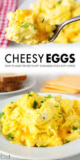 Scrambled Eggs With Cheese Recipe In 2020 Scrambled Eggs With Cheese Egg Recipes For Breakfast Food