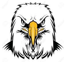 Check spelling or type a new query. Bald Eagle Head Is A Graphic Style Illustration Of An Eagles Royalty Free Cliparts Vectors And Stock Illustration Image 127791748